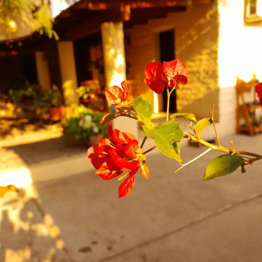 Bed and Breakfast La Montana Cafayate Zewnętrze zdjęcie